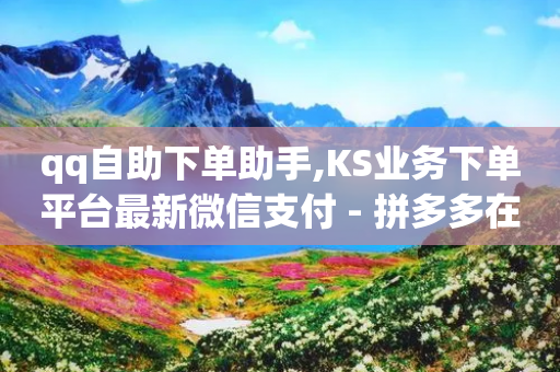 qq自助下单助手,KS业务下单平台最新微信支付 - 拼多多在线刷助力网站 - 拼多多新用户助力神器