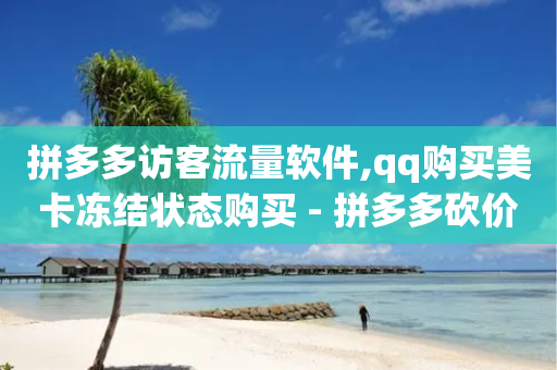 拼多多访客流量软件,qq购买美卡冻结状态购买 - 拼多多砍价一毛十刀网站靠谱吗 - 拼多多300集齐了差兑换卡-第1张图片-靖非智能科技传媒