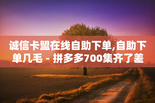 诚信卡盟在线自助下单,自助下单几毛 - 拼多多700集齐了差兑换卡 - 多多视频任务怎么没了-第1张图片-靖非智能科技传媒