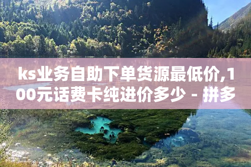 ks业务自助下单货源最低价,100元话费卡纯进价多少 - 拼多多刷助力软件 - 拼多多剩20个积分还有多少