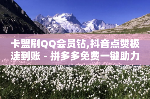 卡盟刷QQ会员钻,抖音点赞极速到账 - 拼多多免费一键助力神器 - 怎么解决拼多多吞刀的问题-第1张图片-靖非智能科技传媒