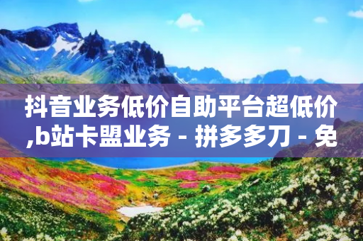 抖音业务低价自助平台超低价,b站卡盟业务 - 拼多多刀 - 免费助力群-第1张图片-靖非智能科技传媒