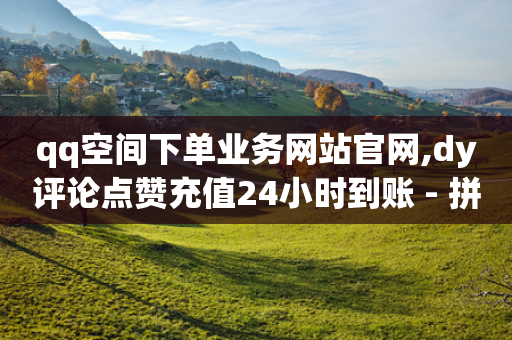 qq空间下单业务网站官网,dy评论点赞充值24小时到账 - 拼多多买了200刀全被吞了 - 怎样给朋友拼多多助力-第1张图片-靖非智能科技传媒