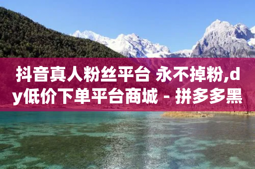 抖音真人粉丝平台 永不掉粉,dy低价下单平台商城 - 拼多多黑科技引流推广神器 - 拼多多小号批发平台