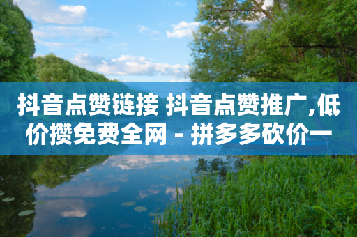 抖音点赞链接 抖音点赞推广,低价攒免费全网 - 拼多多砍价一元10刀 - 云小店低价自助下单-第1张图片-靖非智能科技传媒