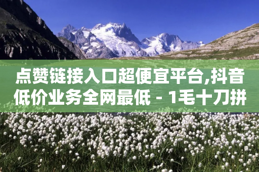 点赞链接入口超便宜平台,抖音低价业务全网最低 - 1毛十刀拼多多助力网站 - 拼多多领50元现金是真的吗