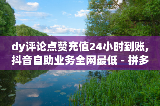 dy评论点赞充值24小时到账,抖音自助业务全网最低 - 拼多多现金助力群免费群 - 天天领现金好友