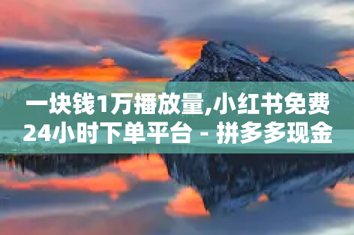 一块钱1万播放量,小红书免费24小时下单平台 - 拼多多现金大转盘刷助力网站免费 - 拼多多助力成功最新截图