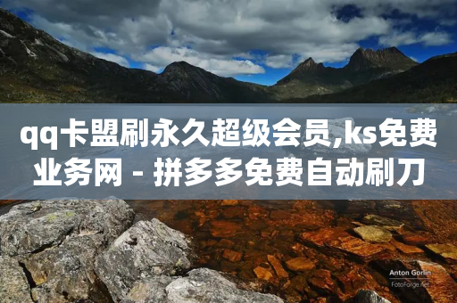 qq卡盟刷永久超级会员,ks免费业务网 - 拼多多免费自动刷刀软件 - 拼多多现金大转盘奥运-第1张图片-靖非智能科技传媒