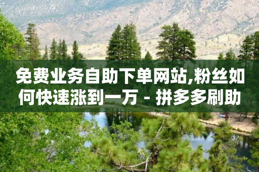 免费业务自助下单网站,粉丝如何快速涨到一万 - 拼多多刷助力 - 拼多多转盘40元要邀多少人-第1张图片-靖非智能科技传媒