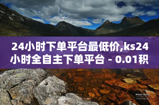 24小时下单平台最低价,ks24小时全自主下单平台 - 0.01积分需要多少人助力 - 拼多多会无限吞刀吗