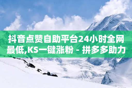 抖音点赞自助平台24小时全网最低,KS一键涨粉 - 拼多多助力网址 - 拼多多开自动调价好吗-第1张图片-靖非智能科技传媒