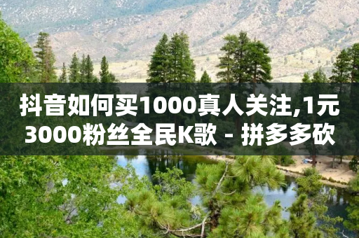 抖音如何买1000真人关注,1元3000粉丝全民K歌 - 拼多多砍价助力网站 - 拼多多从微信零钱通扣款-第1张图片-靖非智能科技传媒