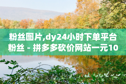 粉丝图片,dy24小时下单平台粉丝 - 拼多多砍价网站一元10刀 - 拼多多待获得元宝11-第1张图片-靖非智能科技传媒