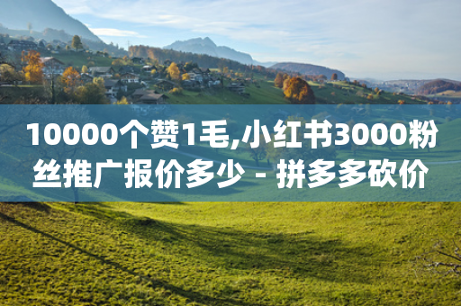 10000个赞1毛,小红书3000粉丝推广报价多少 - 拼多多砍价有几个阶段 - pdd推金币互助