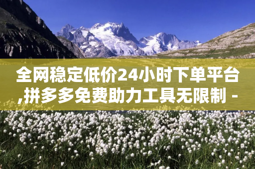 全网稳定低价24小时下单平台,拼多多免费助力工具无限制 - 自助下单拼多多 - 拼多多的口令码大全-第1张图片-靖非智能科技传媒