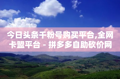 今日头条千粉号购买平台,全网卡盟平台 - 拼多多自助砍价网站 - 闲鱼怎么发拼多多面单-第1张图片-靖非智能科技传媒