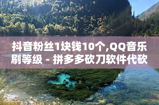 抖音粉丝1块钱10个,QQ音乐刷等级 - 拼多多砍刀软件代砍平台 - 拼多多700最后的十张卡-第1张图片-靖非智能科技传媒