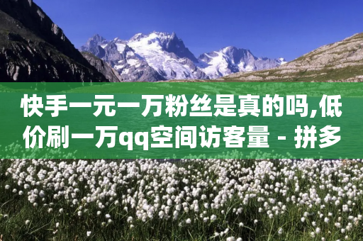 快手一元一万粉丝是真的吗,低价刷一万qq空间访客量 - 拼多多大转盘助力软件 - 拼多多提现600元有人成功吗-第1张图片-靖非智能科技传媒