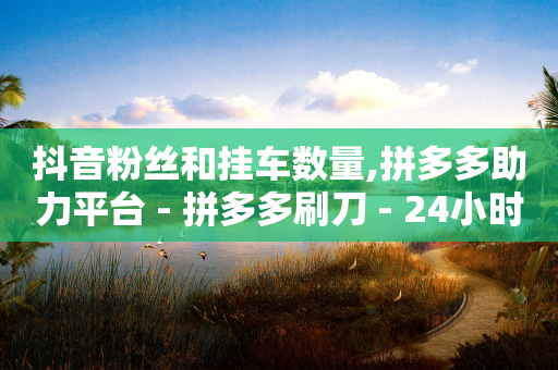 抖音粉丝和挂车数量,拼多多助力平台 - 拼多多刷刀 - 24小时自助下单商城在线-第1张图片-靖非智能科技传媒