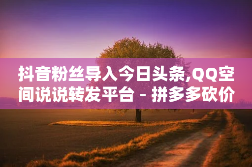 抖音粉丝导入今日头条,QQ空间说说转发平台 - 拼多多砍价助力 - 拼多多警方警告-第1张图片-靖非智能科技传媒