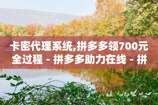 卡密代理系统,拼多多领700元全过程 - 拼多多助力在线 - 拼多多砍一刀下单平台