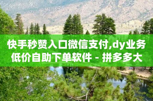 快手秒赞入口微信支付,dy业务低价自助下单软件 - 拼多多大转盘助力网站免费 - 触动精灵