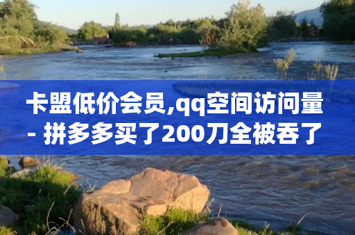 卡盟低价会员,qq空间访问量 - 拼多多买了200刀全被吞了 - 拼多多助力网站迅捷科技