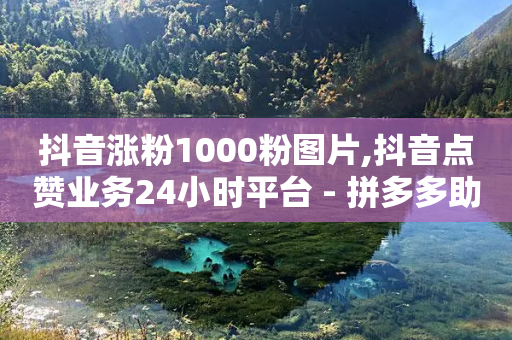 抖音涨粉1000粉图片,抖音点赞业务24小时平台 - 拼多多助力好用的软件 - 拼多多现金提现规则