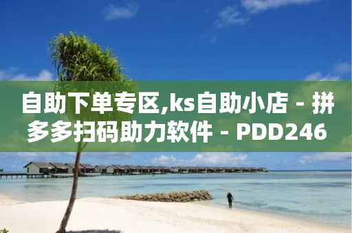 自助下单专区,ks自助小店 - 拼多多扫码助力软件 - PDD246090596-第1张图片-靖非智能科技传媒