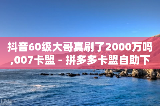 抖音60级大哥真刷了2000万吗,007卡盟 - 拼多多卡盟自助下单服务 - 长白山饭店开花的菜叫什么