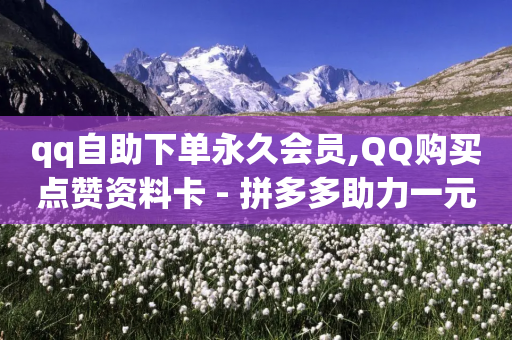 qq自助下单永久会员,QQ购买点赞资料卡 - 拼多多助力一元十刀怎么弄 - 拼多多小号Token登陆工具-第1张图片-靖非智能科技传媒