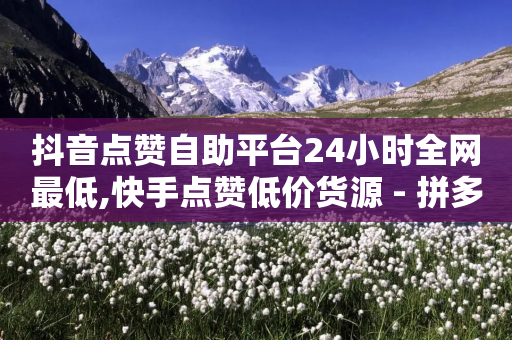 抖音点赞自助平台24小时全网最低,快手点赞低价货源 - 拼多多商家服务平台 - 拼多多达客宝平台-第1张图片-靖非智能科技传媒