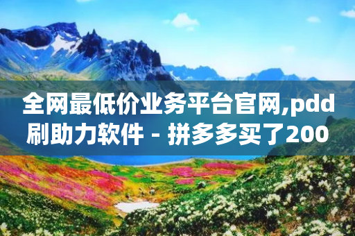 全网最低价业务平台官网,pdd刷助力软件 - 拼多多买了200刀全被吞了 - 拼多多站外引流怎么做-第1张图片-靖非智能科技传媒