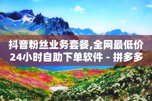 抖音粉丝业务套餐,全网最低价24小时自助下单软件 - 拼多多新用户助力网站 - 五一大促拼多多下载-第1张图片-靖非智能科技传媒