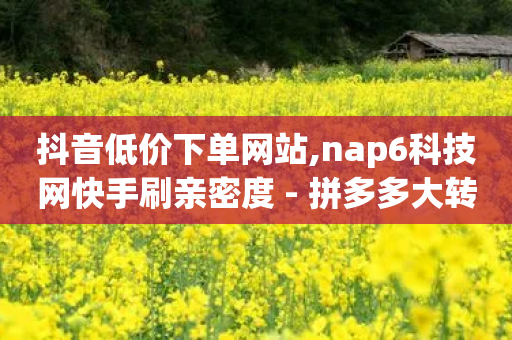 抖音低价下单网站,nap6科技网快手刷亲密度 - 拼多多大转盘助力网站免费 - 网红云小店24小时在线下单