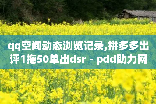 qq空间动态浏览记录,拼多多出评1拖50单出dsr - pdd助力网站 - 拼多多有pc端吗