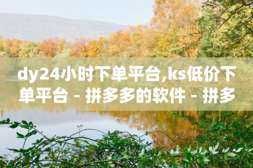 dy24小时下单平台,ks低价下单平台 - 拼多多的软件 - 拼多多平台人工客服-第1张图片-靖非智能科技传媒