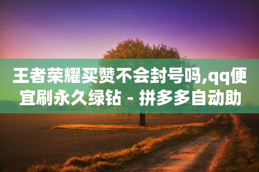 王者荣耀买赞不会封号吗,qq便宜刷永久绿钻 - 拼多多自动助力脚本 - 拼多多免费拿助力-第1张图片-靖非智能科技传媒