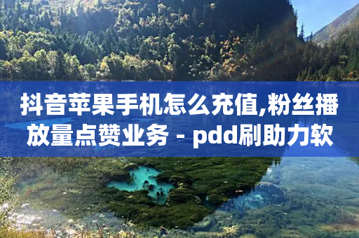 抖音苹果手机怎么充值,粉丝播放量点赞业务 - pdd刷助力软件 - 2024小程序互助群-第1张图片-靖非智能科技传媒