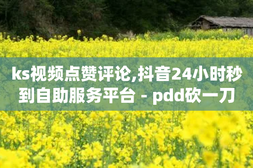 ks视频点赞评论,抖音24小时秒到自助服务平台 - pdd砍一刀助力助力平台官网 - 拼多多直播用什么群聊好-第1张图片-靖非智能科技传媒