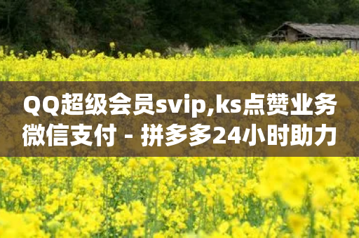 QQ超级会员svip,ks点赞业务微信支付 - 拼多多24小时助力网站 - 外卖砍价软件