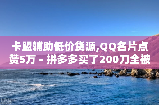 卡盟辅助低价货源,QQ名片点赞5万 - 拼多多买了200刀全被吞了 - 退款人工客服-第1张图片-靖非智能科技传媒