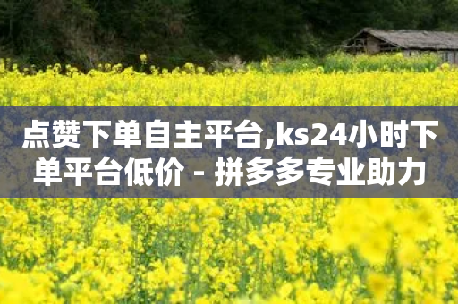 点赞下单自主平台,ks24小时下单平台低价 - 拼多多专业助力 - 拼多多买美发剪刀可靠吗-第1张图片-靖非智能科技传媒