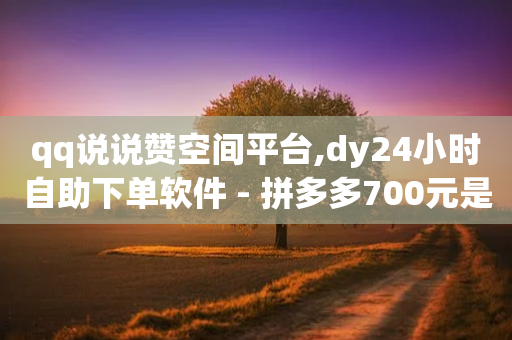 qq说说赞空间平台,dy24小时自助下单软件 - 拼多多700元是诈骗吗 - 拼多多流量获取方式-第1张图片-靖非智能科技传媒