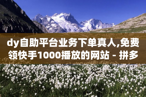 dy自助平台业务下单真人,免费领快手1000播放的网站 - 拼多多砍价助力网站 - 拼多多的全部规则-第1张图片-靖非智能科技传媒