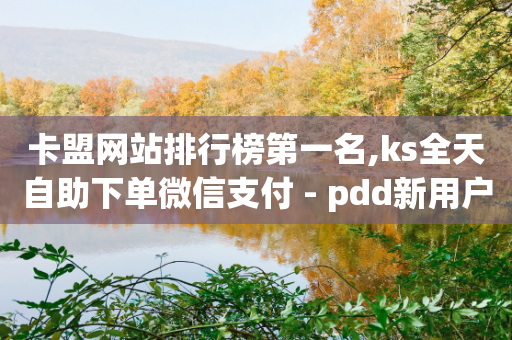 卡盟网站排行榜第一名,ks全天自助下单微信支付 - pdd新用户助力网站 - 拼多多吞刀-第1张图片-靖非智能科技传媒