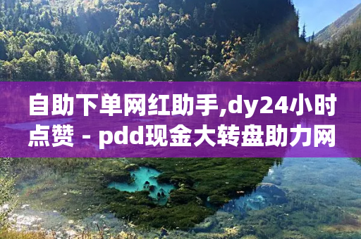 自助下单网红助手,dy24小时点赞 - pdd现金大转盘助力网站 - 拼多多50元三十多人还不成功-第1张图片-靖非智能科技传媒