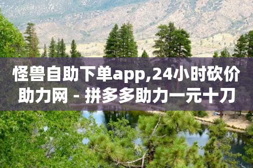 怪兽自助下单app,24小时砍价助力网 - 拼多多助力一元十刀怎么弄 - dnf手游辅助贴吧