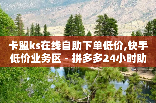 卡盟ks在线自助下单低价,快手低价业务区 - 拼多多24小时助力平台 - 拼多多助力圈互助